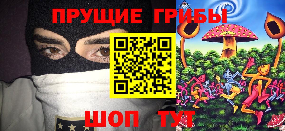 Галлюциногенные грибы мухоморы Магадан