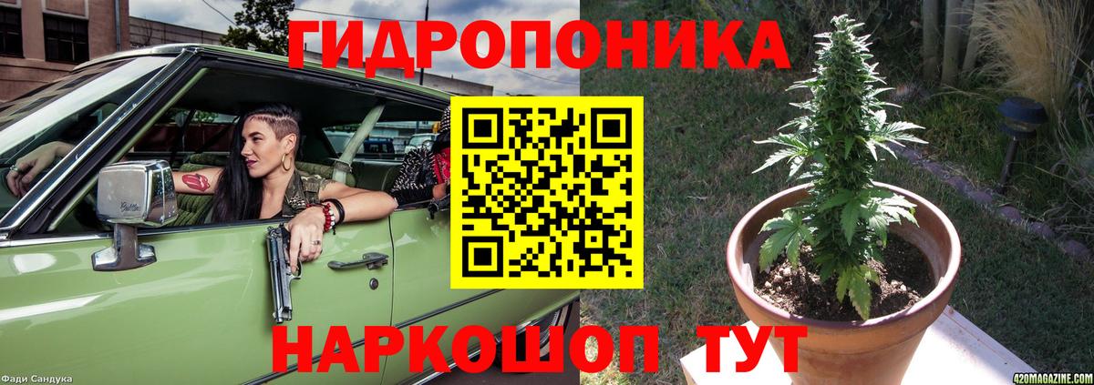 Бошки Шишки семена  Вход с VPN  Шишки марихуана AK-47  Канабис конопля  МАРИХУАНА план  Магадан 